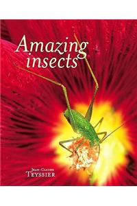 Amazing Insects