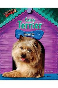 Cairn Terrier