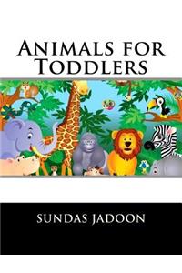 Animals for Toddlers