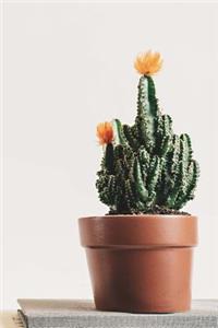 Yellow Flowering Cactus Journal