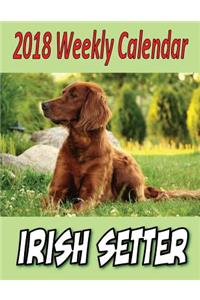 2018 Weekly Calendar Irish Setter