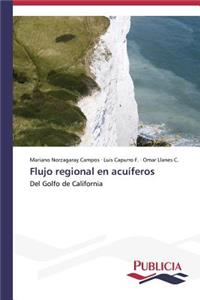 Flujo regional en acuíferos