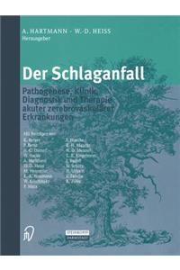 Der Schlaganfall