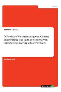 Öffentliche Wahrnehmung von Climate Engineering. Wie kann die Salienz von Climate Engineering erklärt werden?