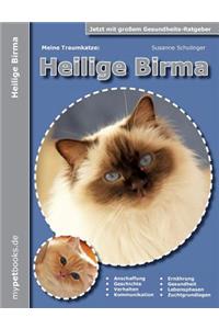 Meine Traumkatze