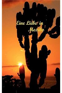 Eine Liebe in Mexiko