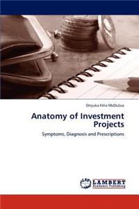 Anatomy of Investment Projects