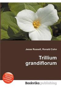 Trillium Grandiflorum