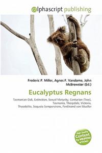 Eucalyptus Regnans