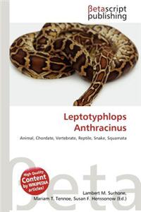 Leptotyphlops Anthracinus
