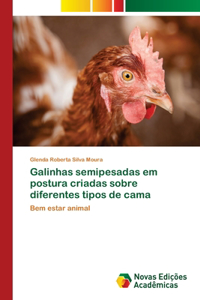 Galinhas semipesadas em postura criadas sobre diferentes tipos de cama