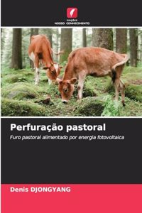 Perfuração pastoral
