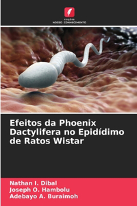 Efeitos da Phoenix Dactylifera no Epidídimo de Ratos Wistar