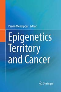 Epigenetics Territory and Cancer