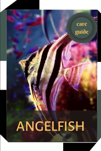 Aquarium fish Angelfish.