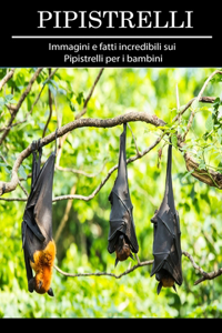 Pipistrelli