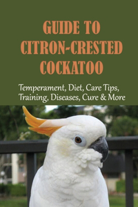 Guide To Citron-Crested Cockatoo