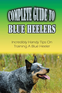Complete Guide To Blue Heelers