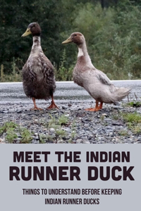 Meet The Indian Runner Duck: Things To Understand Before Keeping Indian Runner Ducks: History And Origin Of Indian Runner Ducks