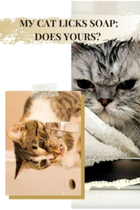 My Cat Licks Soap Does Yours?