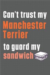 Can't trust my Manchester Terrier to guard my sandwich