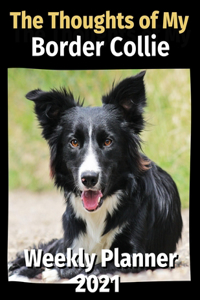 Thoughts of My Border Collie