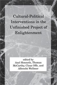 Cultural-Political Interventions in the Unfinished Project of Enlightenment