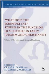 'What Does the Scripture Say?' Studies in the Function of Scripture in Early Judaism and Christianity