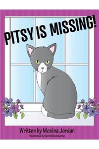 Pitsy is Missing!