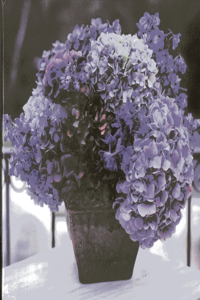 Hydrangea' Memo Cube With Greetings Cards and Envelopes