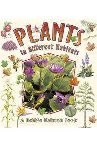 Plants in Different Habitats