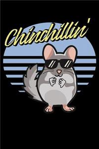 Chinchillin'