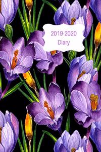 2019-2020 Diary