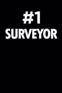 Number 1 Surveyor