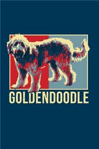 Goldendoodle