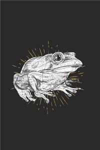 Frog Drawing