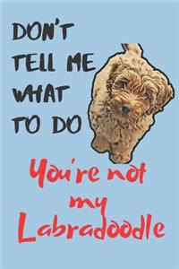 Don't tell me Labradoodle Blank Lined Journal Notebook