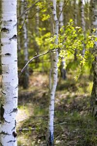 Among the Birch Trees in Summer Journal