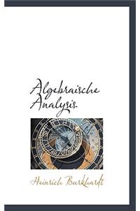 Algebraische Analysis