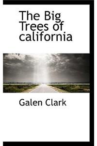 The Big Trees of California