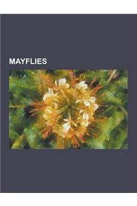Mayflies