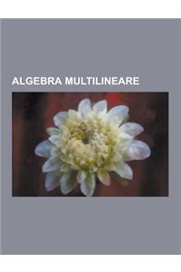 Algebra Multilineare: Tensori, Prodotto Tensoriale, Tensore, Determinante, Covarianza E Controvarianza, Pull-Back, Forma Quadratica, Notazio