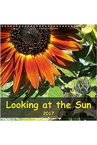 Looking at the Sun 2017