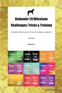 Dalmador 20 Milestone Challenges
