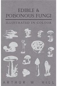 Edible and Poisonous Fungi - Illustrated in Colour