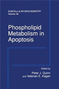 Phospholipid Metabolism in Apoptosis