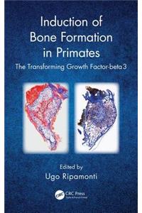 Induction of Bone Formation in Primates