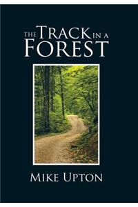 The Track in a Forest