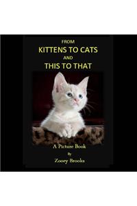 From KITTENS to CATS and THIS toTHAT