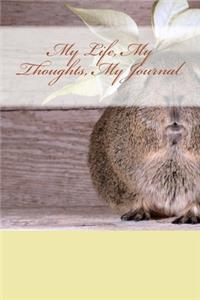 My Life, My Thoughts, My Journal
